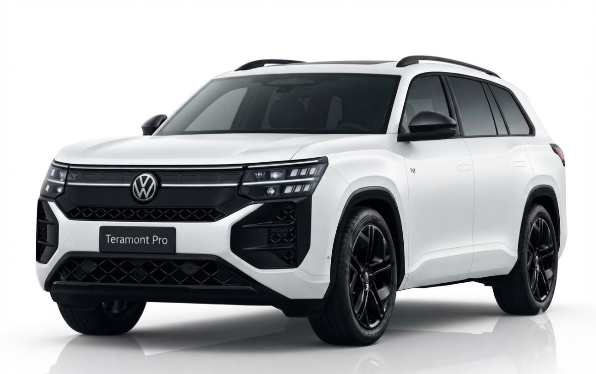 VOLKSWAGEN TERAMONT PRO